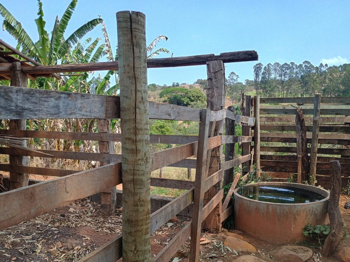 Fazenda, Centro, 3 Quartos, 10 Vagas, 1 Suíte