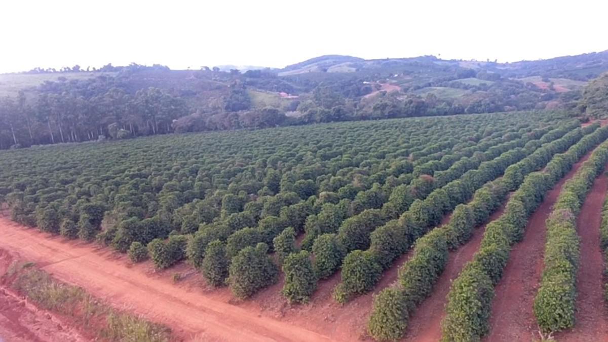 Fazenda, Zona Rural, 0 Quarto, 0 Vaga