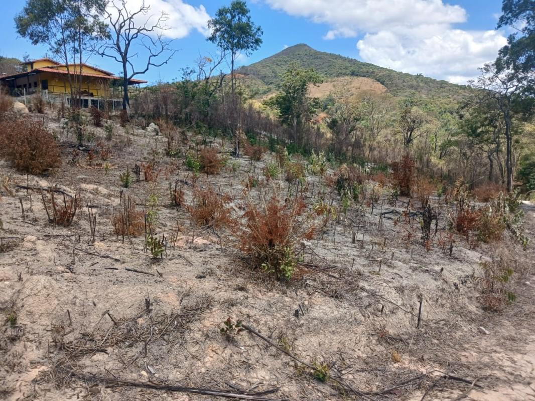 Lote, Roças Novas, 0 Quarto, 0 Vaga
