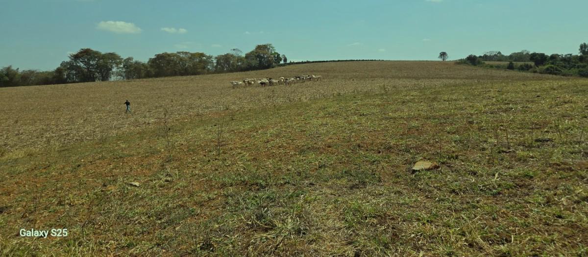 Fazenda, Centro, 1 Quarto, 21 Vagas, 1 Suíte