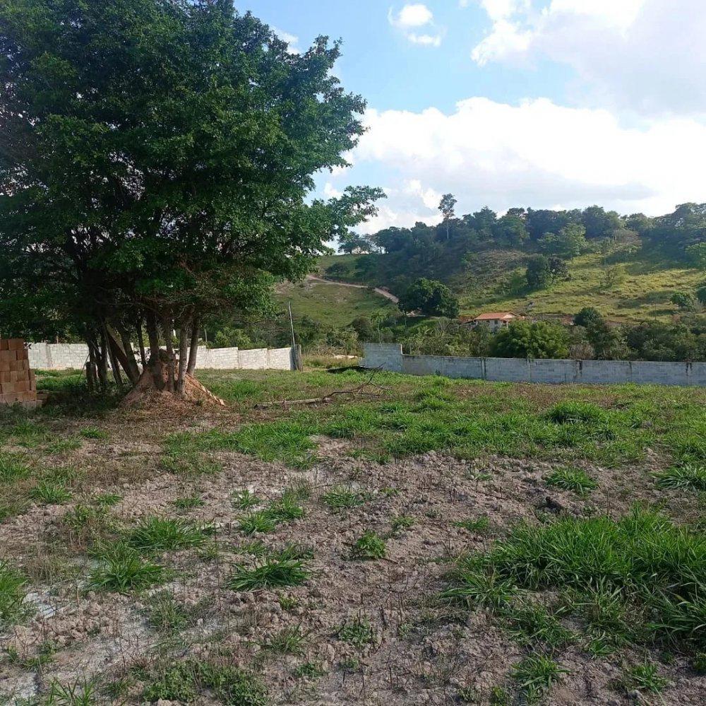 Fazenda, Aranha, 0 Quarto, 0 Vaga