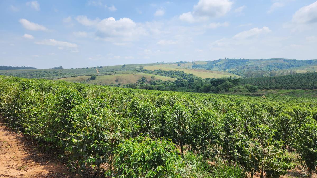 Fazenda, Zona Rural, 1 Quarto, 0 Vaga
