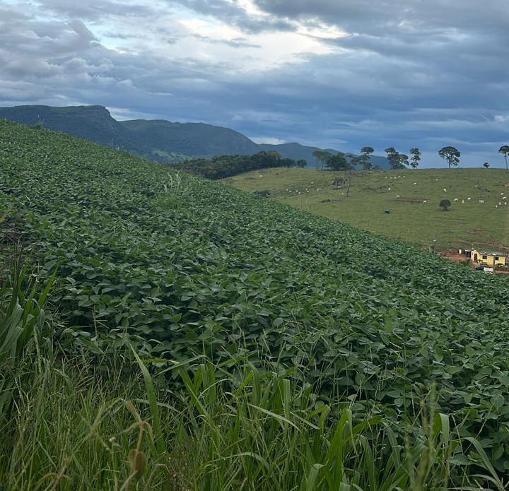 Fazenda, Zona Rural, 3 Quartos, 0 Vaga