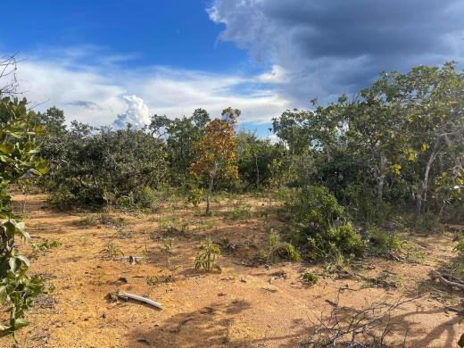 Lote, São Jose de Almeida, 0 Quarto, 0 Vaga