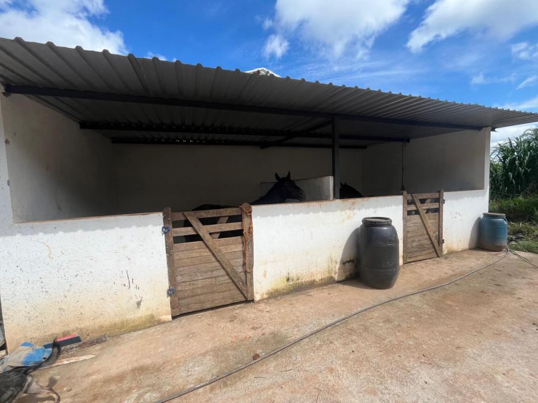 Fazenda, Zona Rural, 0 Quarto, 0 Vaga