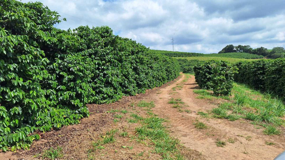 Fazenda, Zona Rural, 3 Quartos, 0 Vaga