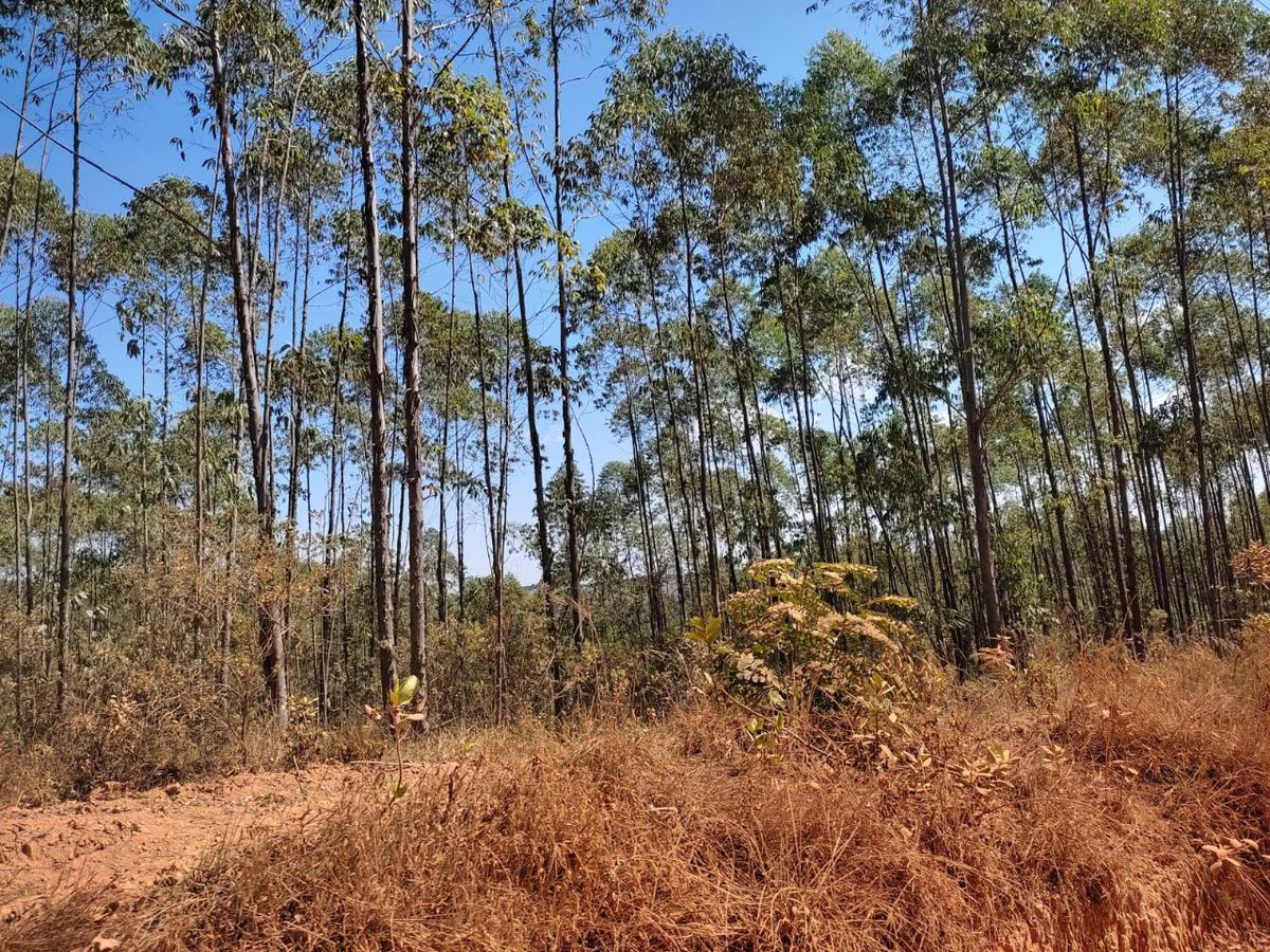 Lote, Penedo, 0 Quarto, 0 Vaga
