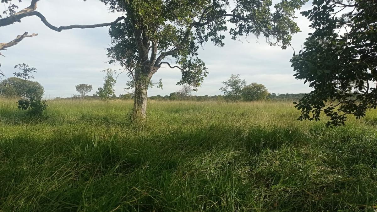 Fazenda, Zona Rural, 6 Quartos, 0 Vaga, 1 Suíte