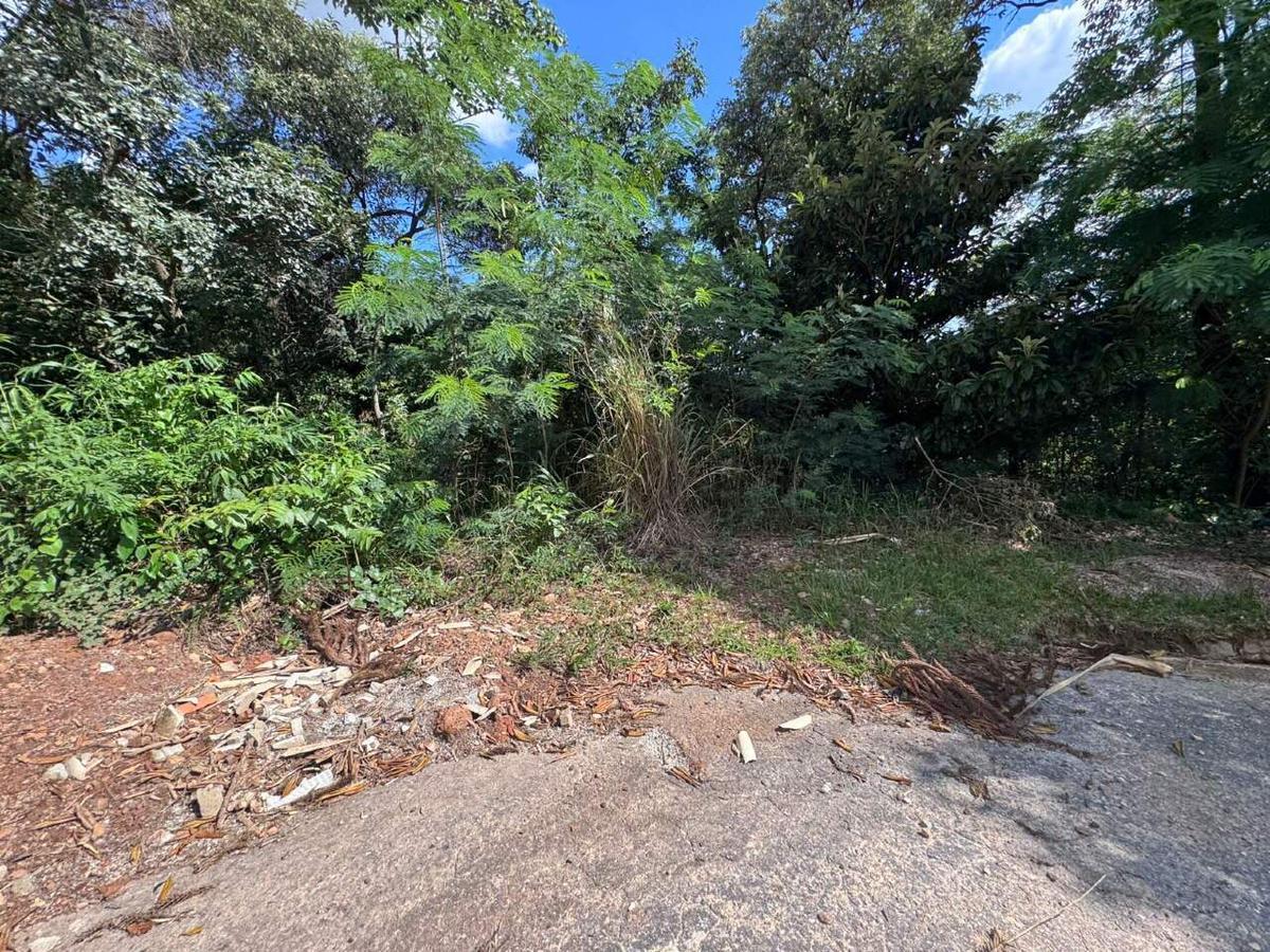 Lote, Retiro do Chalé, 0 Quarto, 0 Vaga