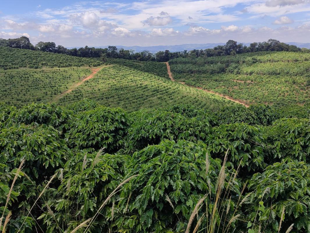 Fazenda, Zona Rural, 0 Quarto, 0 Vaga