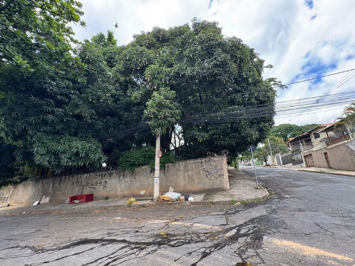 Lote, São Luiz (pampulha), 0 Quarto, 0 Vaga