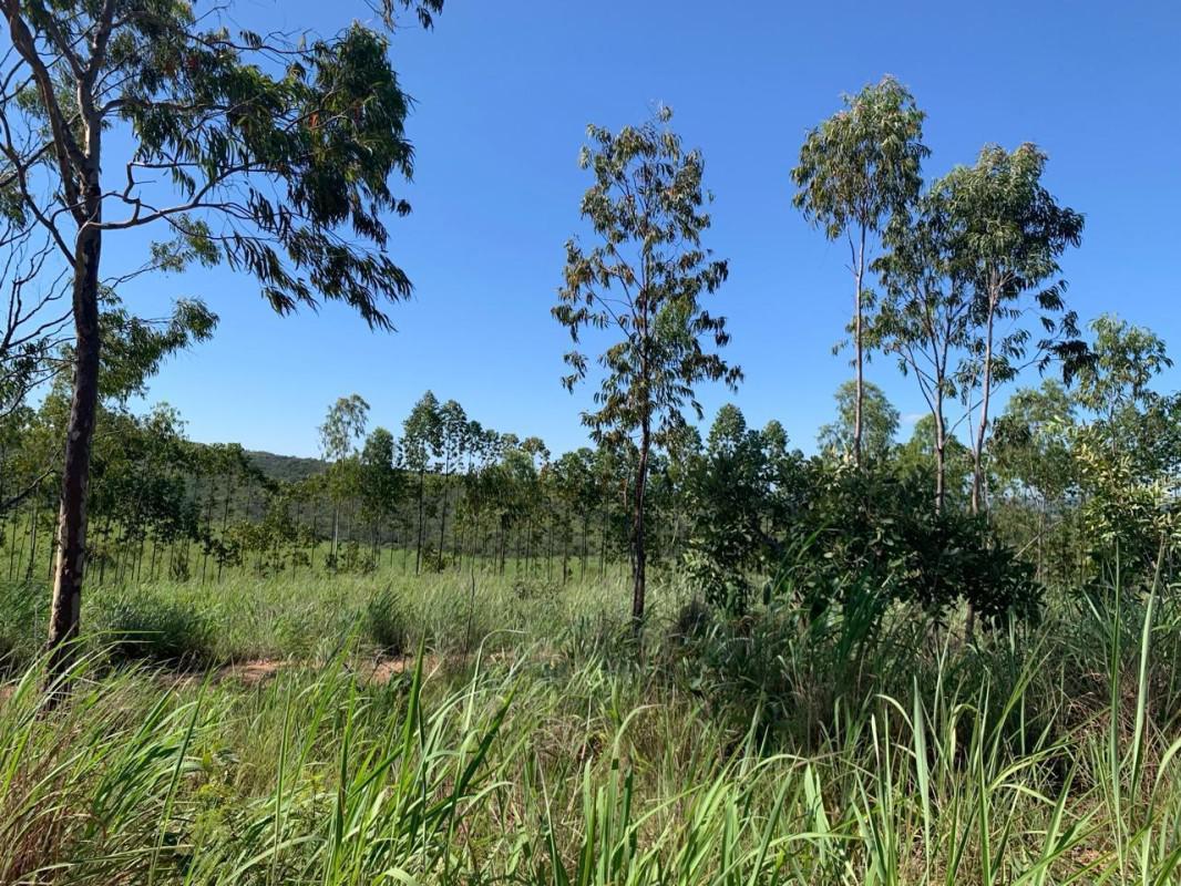 Fazenda, Ruralminas, 3 Quartos, 10 Vagas, 1 Suíte