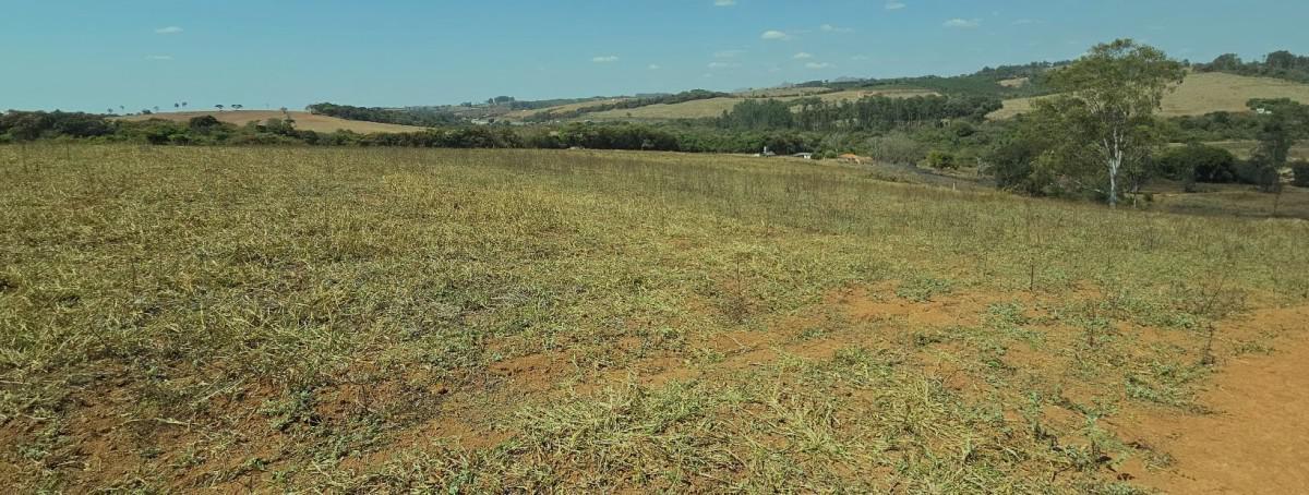 Fazenda, Centro, 1 Quarto, 21 Vagas, 1 Suíte