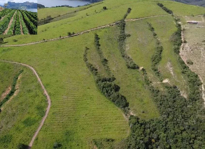 Fazenda, Zona Rural, 3 Quartos, 0 Vaga