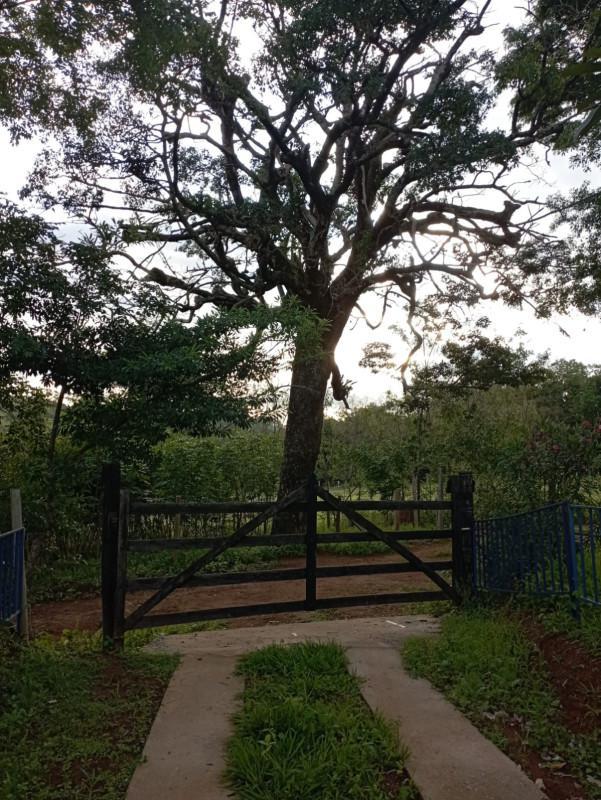 Fazenda, Zona Rural, 3 Quartos, 1 Vaga