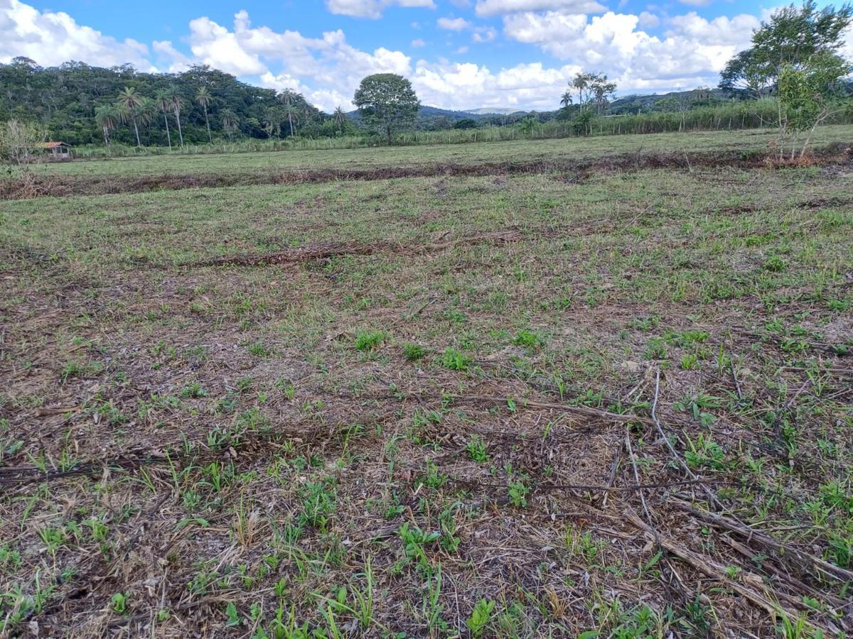 Fazenda, Centro, 3 Quartos, 10 Vagas
