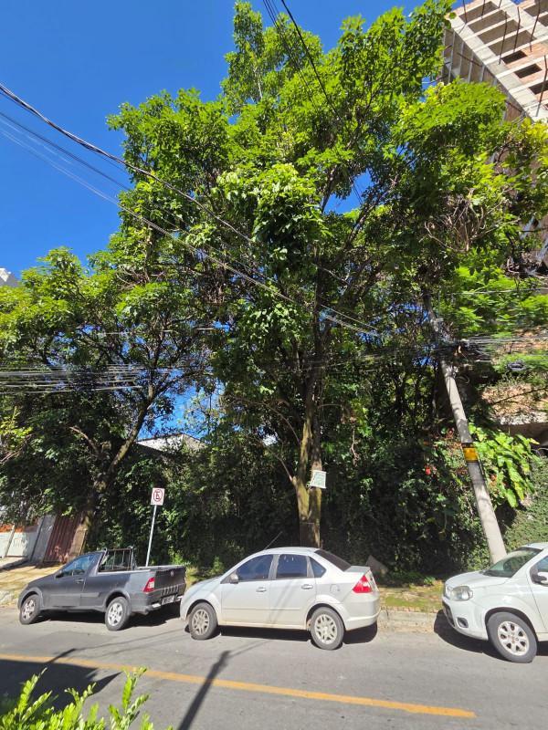 Lote, Ouro Preto, 0 Quarto, 0 Vaga