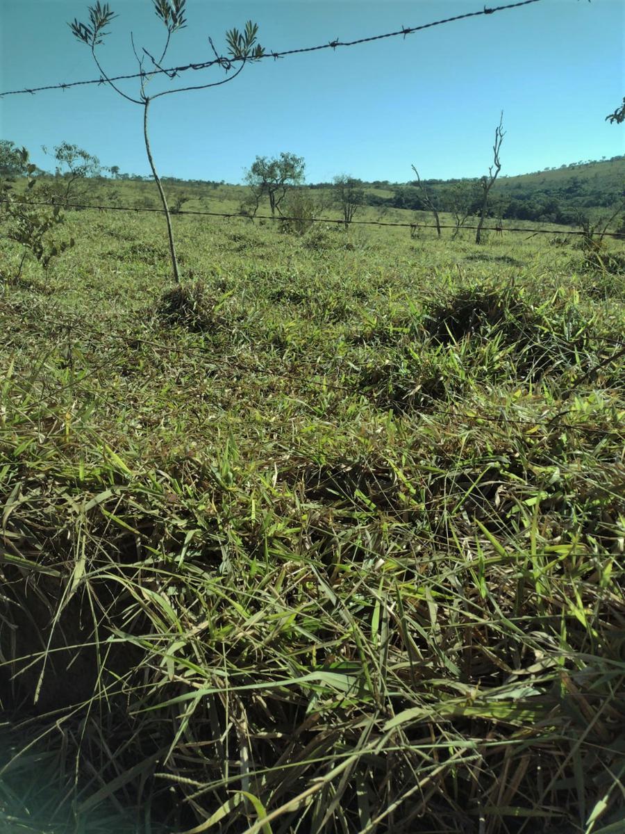 Fazenda, Centro, 1 Quarto, 0 Vaga