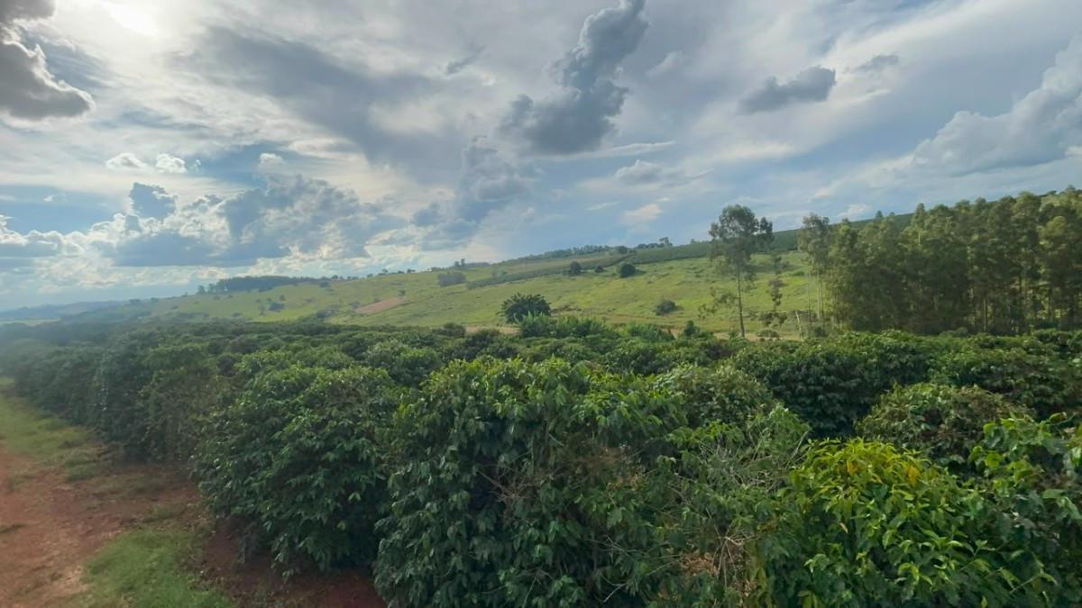 Fazenda, Zona Rural, 0 Quarto, 0 Vaga