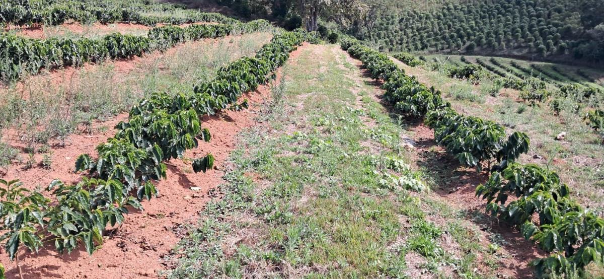 Fazenda, Zona Rural, 0 Quarto, 0 Vaga