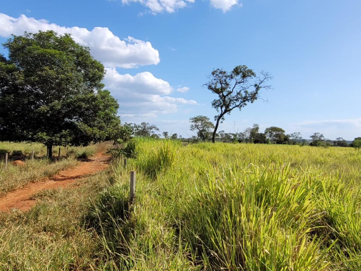 Fazenda, Centro, 0 Quarto, 0 Vaga, 1 Suíte