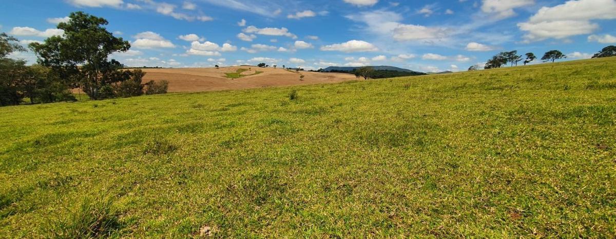 Fazenda, Centro, 4 Quartos, 2 Vagas, 1 Suíte