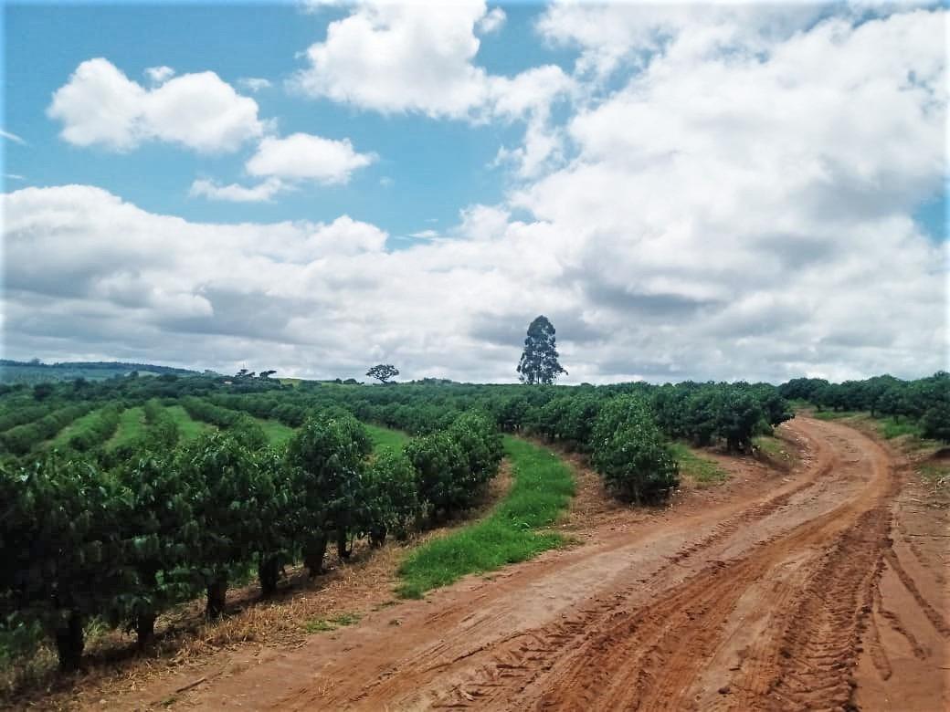 Fazenda, São Sebastião da Estrela, 1 Quarto, 1 Vaga, 1 Suíte