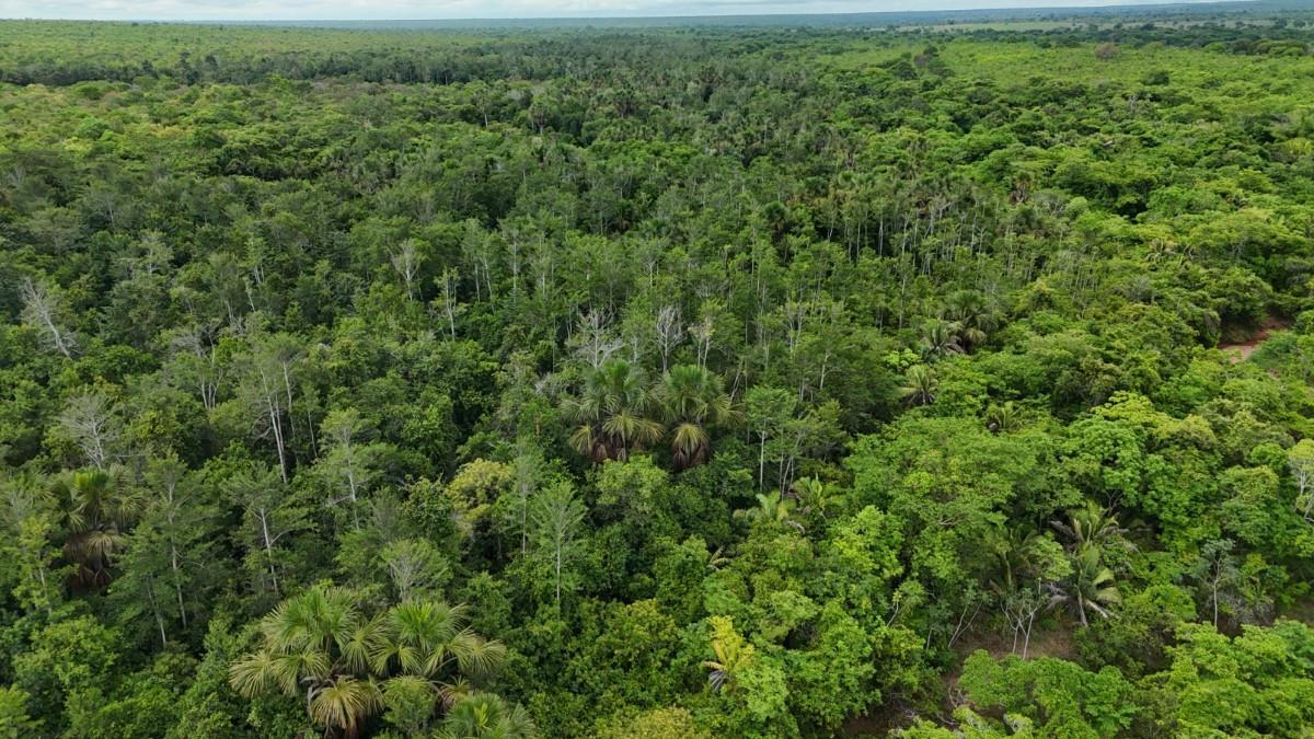 Fazenda, Zona Rural, 0 Quarto, 0 Vaga