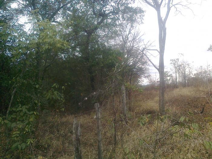 Lote em Condomínio, Condomínio Represa Ville