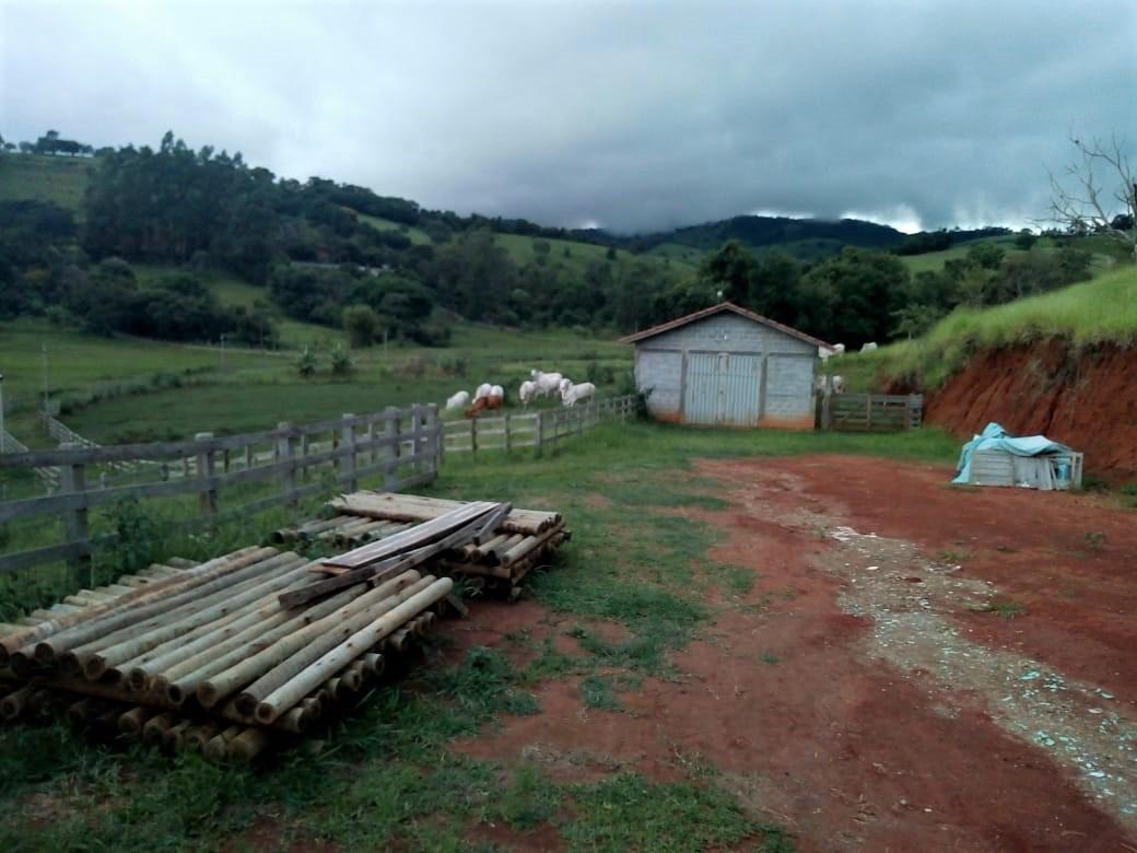 Fazenda, Centro, 1 Quarto, 1 Vaga, 1 Suíte