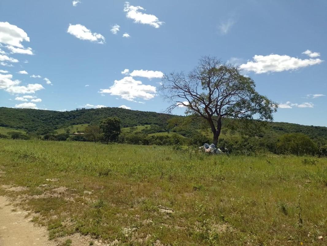 Fazenda, Centro, 10 Quartos, 0 Vaga, 2 Suítes