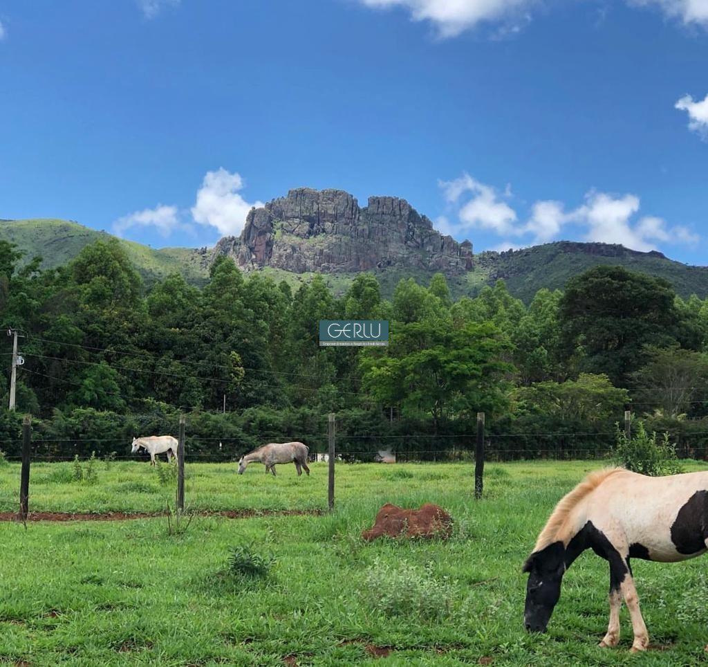 Rural, Centro, 4 Quartos, 4 Vagas, 1 Suíte