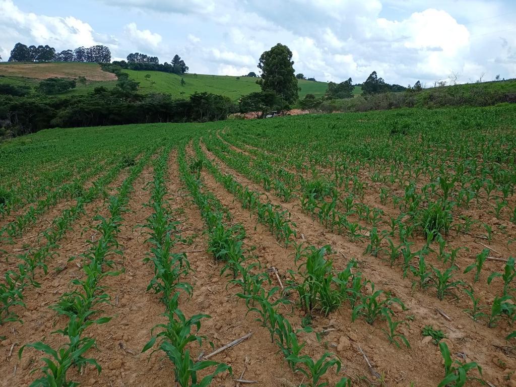 Fazenda, Zona Rural, 0 Quarto, 0 Vaga