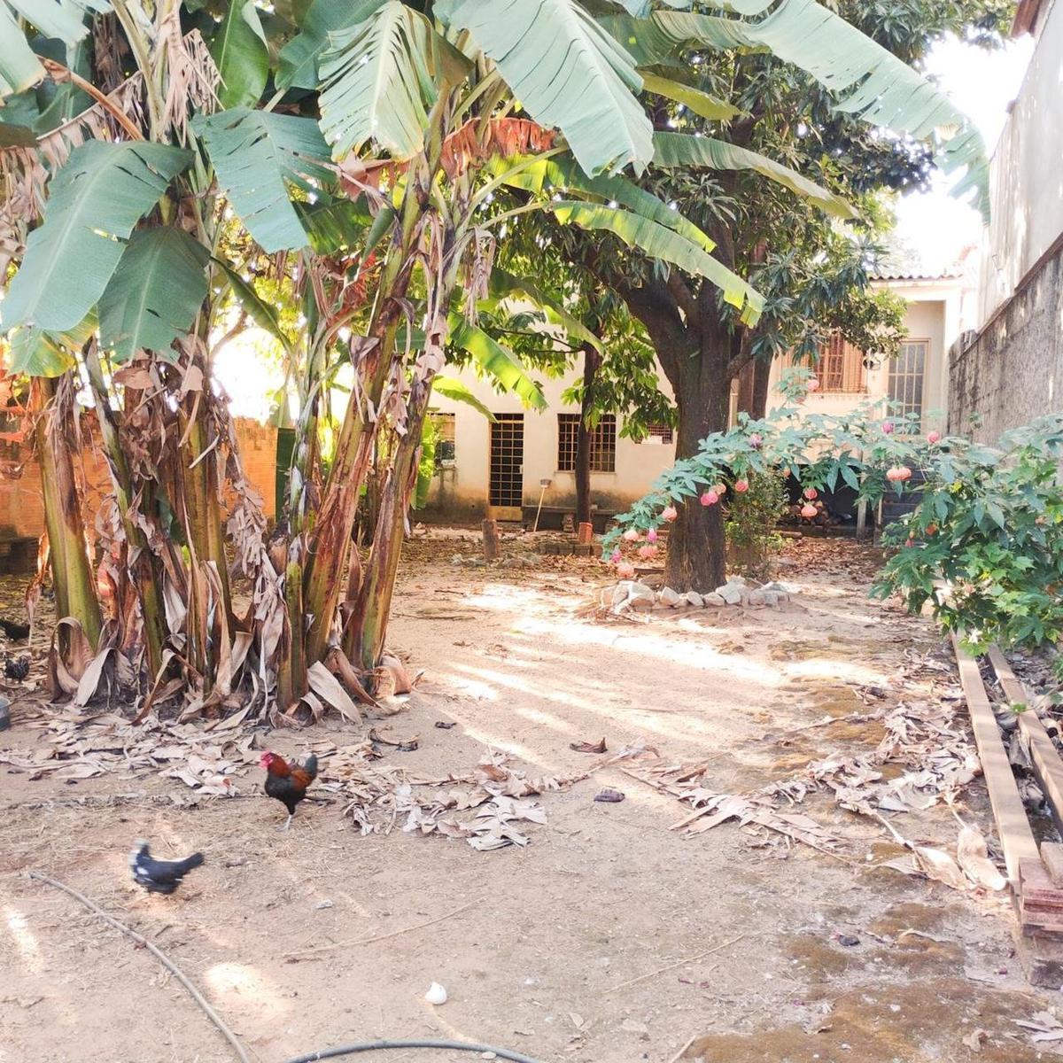 Lote, Serrano, 1 Quarto, 8 Vagas