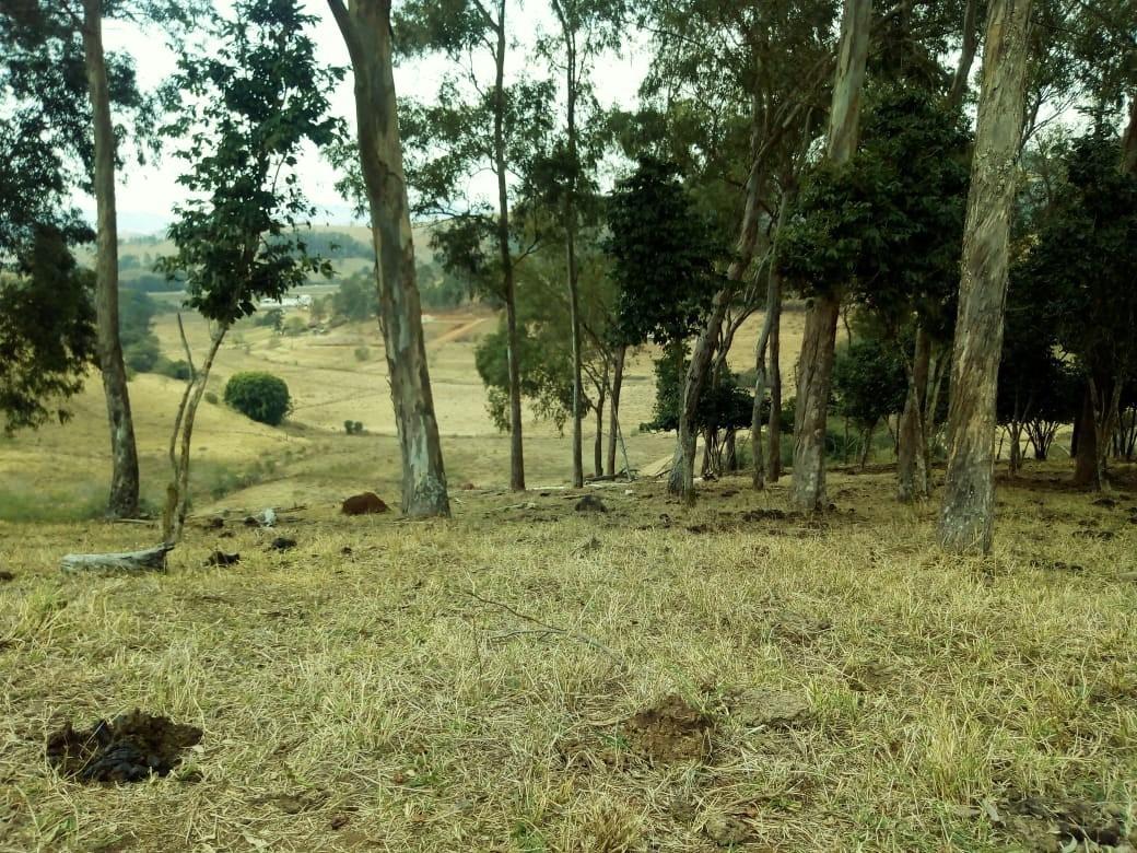 Fazenda, Centro, 1 Quarto, 1 Vaga, 1 Suíte