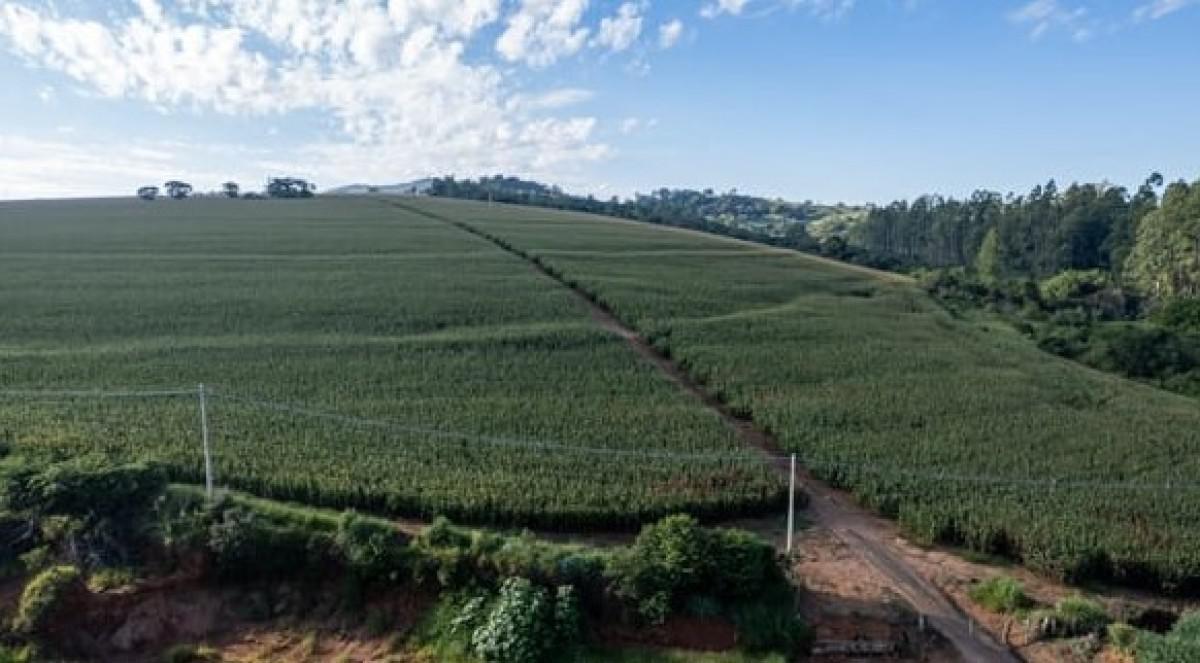 Fazenda, Zona Rural, 0 Quarto, 0 Vaga