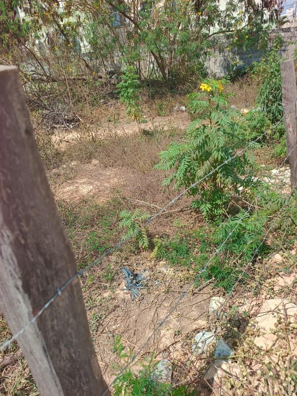 Lote, Eldorado, 4 Quartos, 1 Vaga