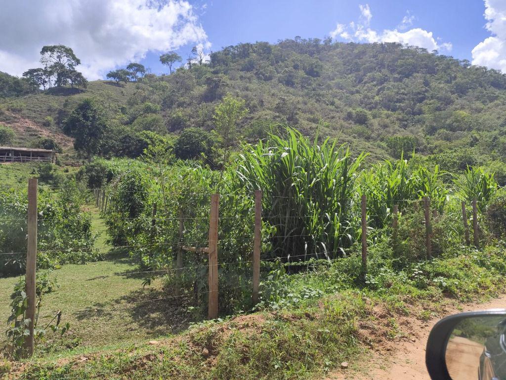 Fazenda, Centro, 3 Quartos, 0 Vaga, 1 Suíte