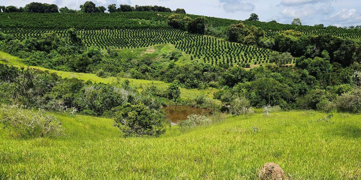 Fazenda, Zona Rural, 1 Quarto, 0 Vaga