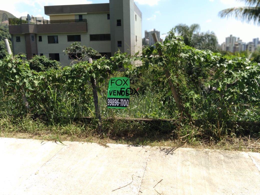 Lote, Estoril, 0 Quarto, 0 Vaga
