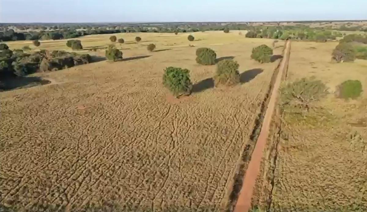 Fazenda, Zona Rural, 0 Quarto, 0 Vaga
