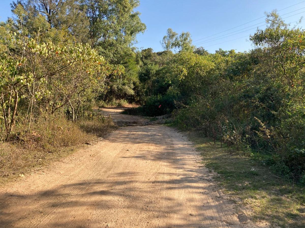 Lote, Centro, 0 Quarto, 0 Vaga