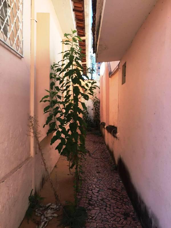 Casa, Floresta, 4 Quartos, 1 Vaga