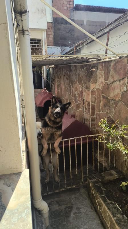 Casa, Santa Teresa, 12 Quartos, 2 Vagas, 4 Suítes