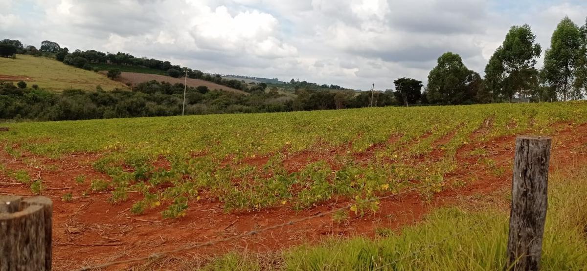 Fazenda, Zona Rural, 3 Quartos, 4 Vagas, 1 Suíte