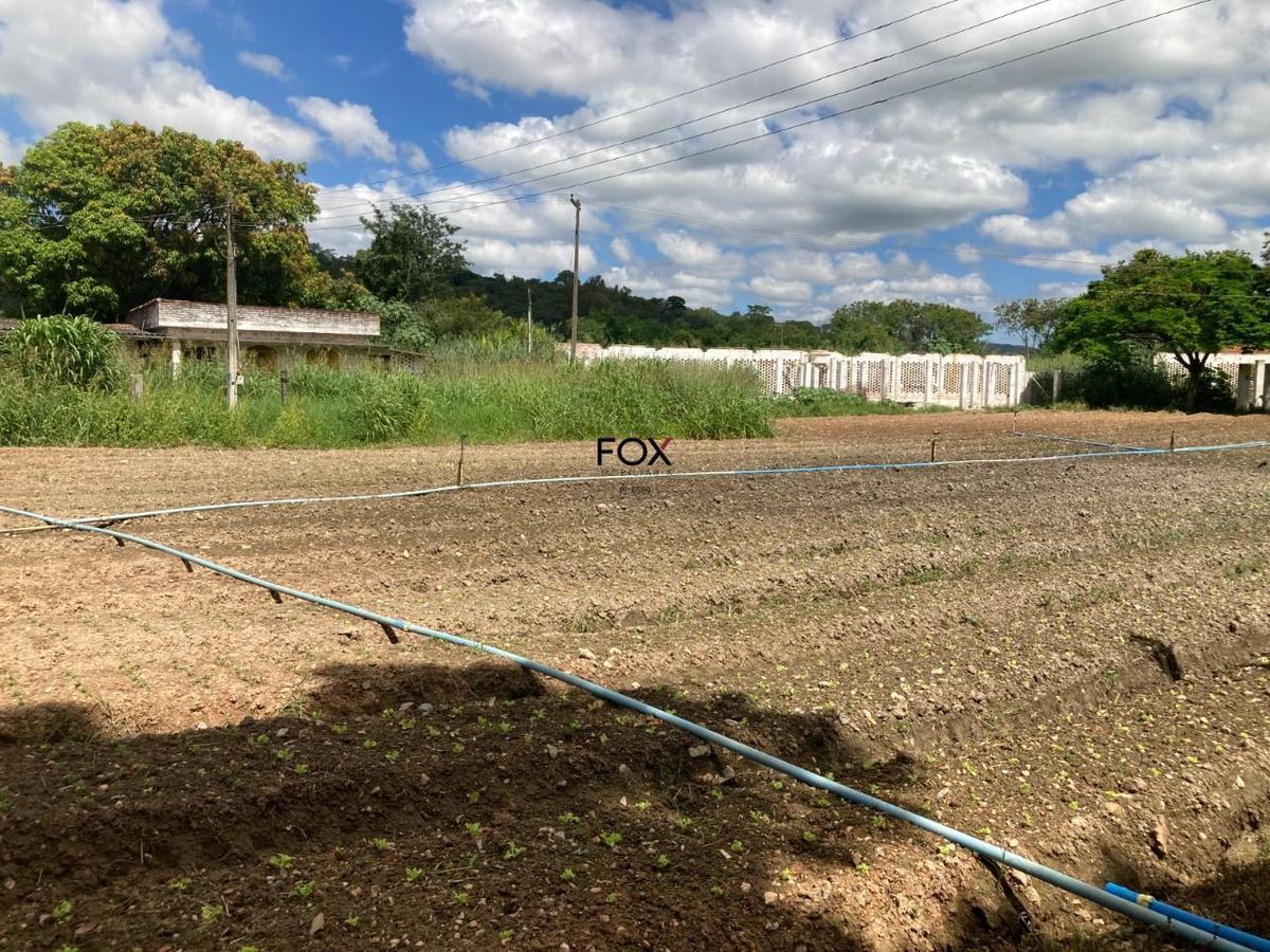 Lote, Inácia de Carvalho, 0 Quarto, 0 Vaga