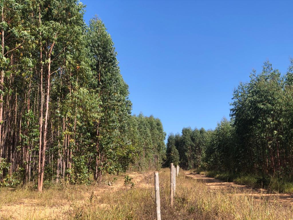 Fazenda, Zona Rural, 3 Quartos, 0 Vaga