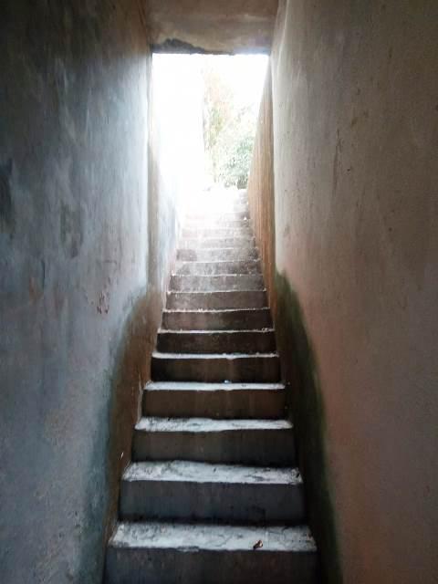 Lote, Jacqueline, 0 Quarto, 4 Vagas