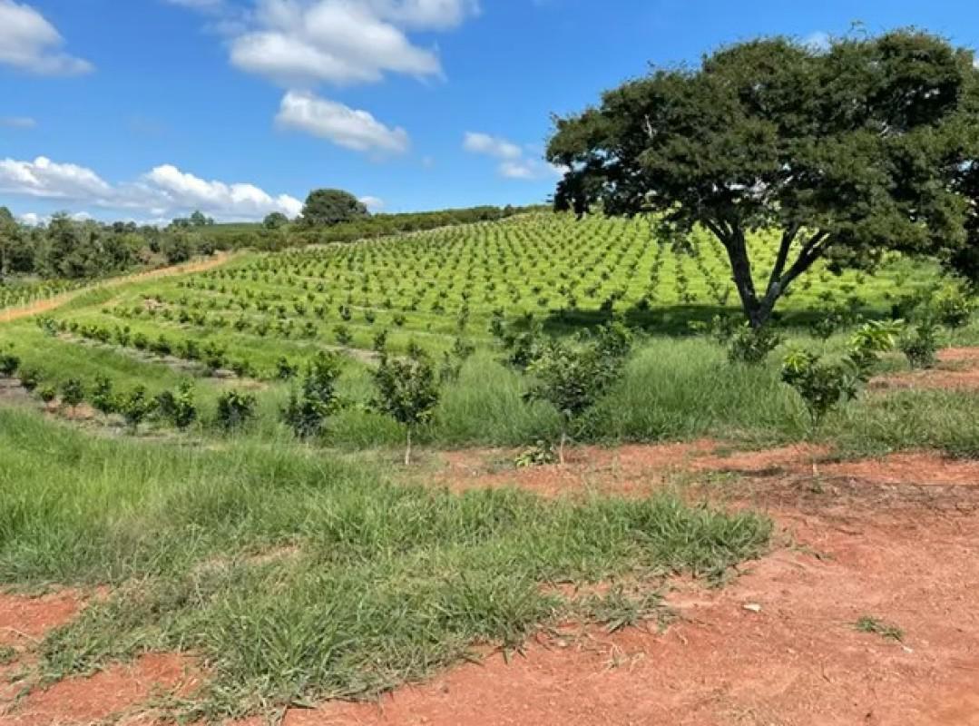 Fazenda, Zona Rural, 3 Quartos, 0 Vaga