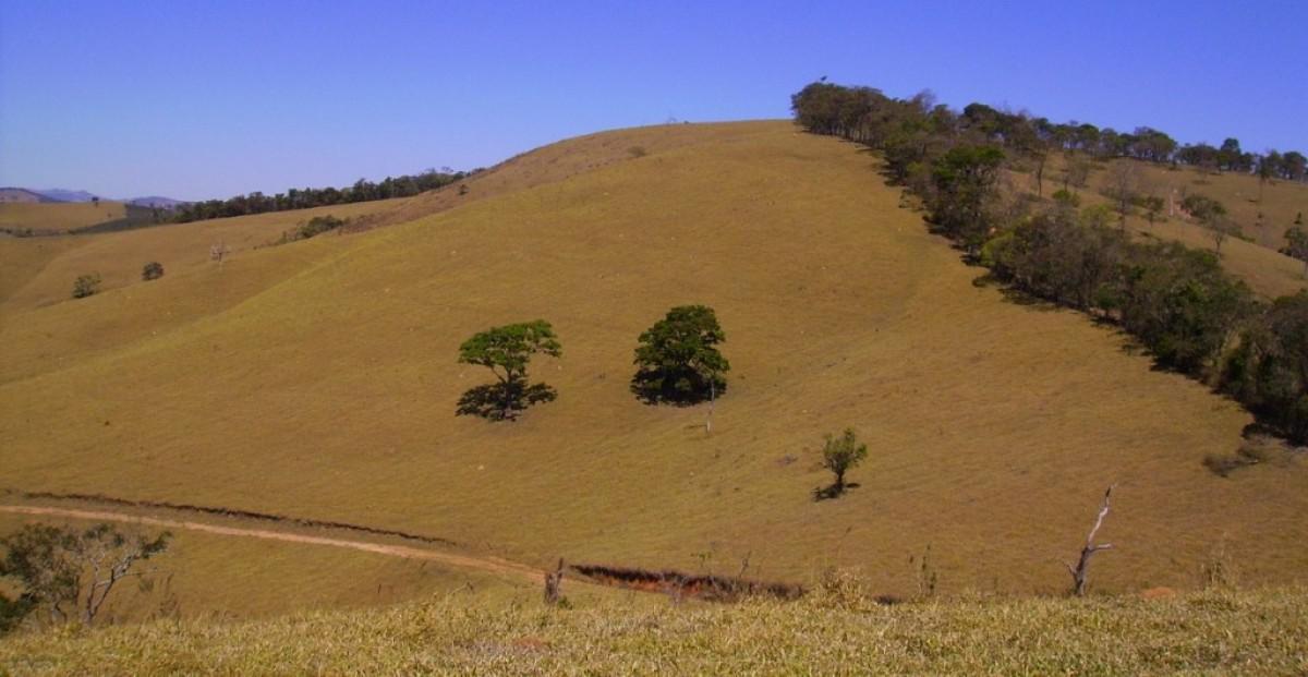 Fazenda, Zona Rural, 0 Quarto, 0 Vaga